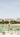 Paris how I do love thee - My ‘Go To's’ &amp; ‘Must Sees’ for the future Paris traveler.