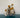 Supernatural 1-SQ6707281