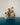 Supernatural 1-SQ6707281